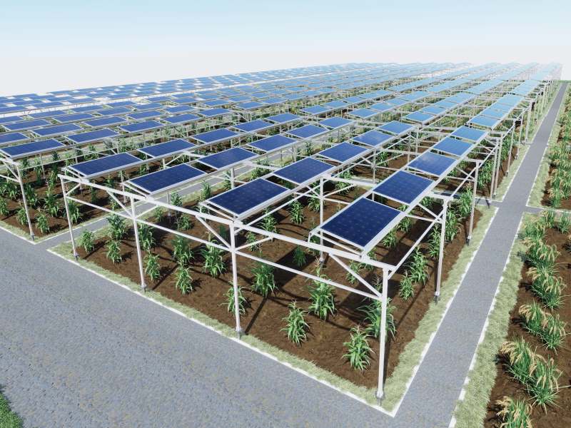 #Solar Farm