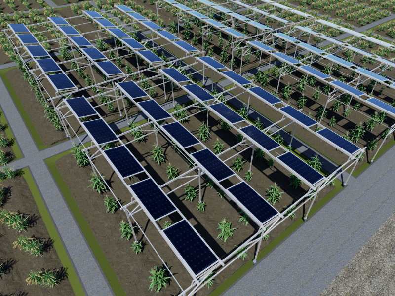 #Solar Farm
