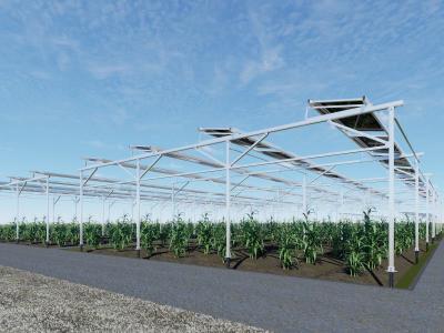 Solar Farm PV Mounting Structure